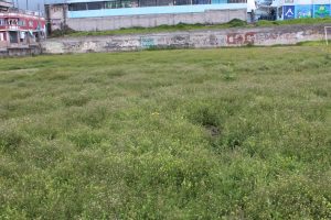 La maleza gana terreno en los estadios de las ligas barriales