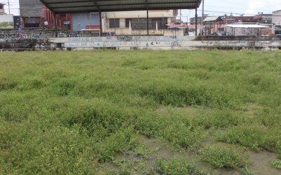 El Covid-19 un rival invisible que golea al deporte barrial