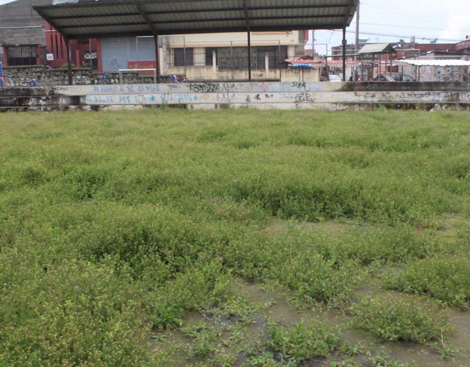 Escenario deportivos barriales desolados